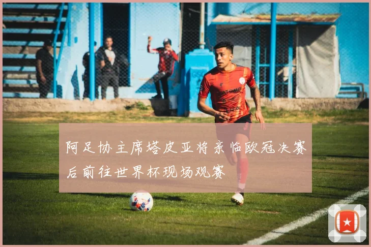 阿足协主席塔皮亚将亲临欧冠决赛后前往世界杯现场观赛